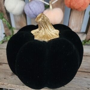 Black Velvet Pumpkin - Christian Siriano